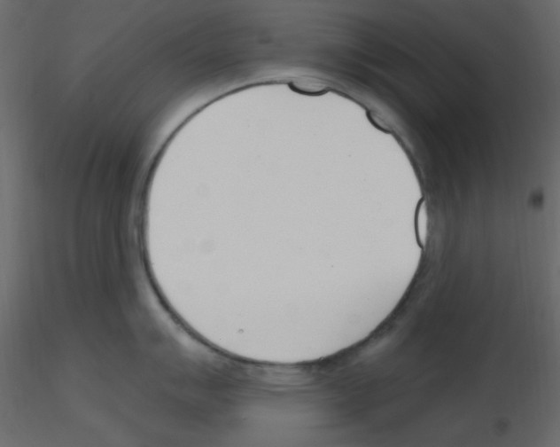 X0000115771007200912241746