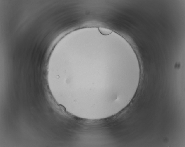 X0000115771008200912241746