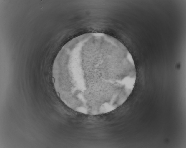 X0000115771009200912241745
