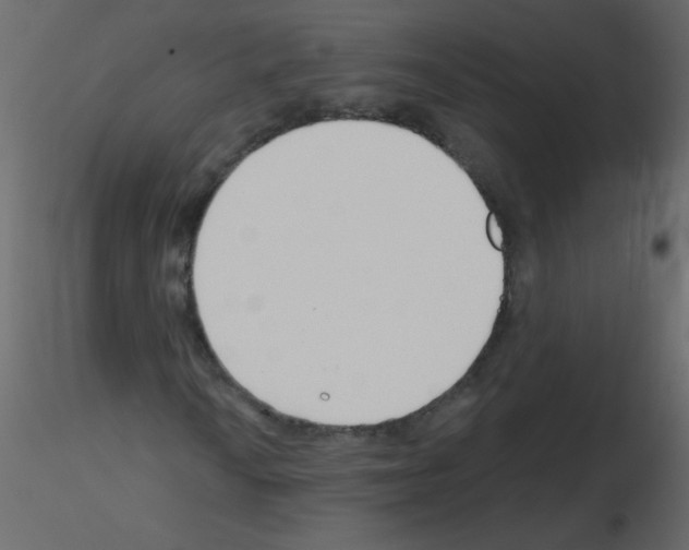 X0000115771010200912241745
