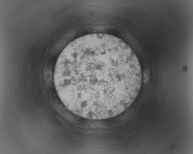 X0000115771011200912241745