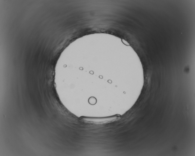 X0000115771012200912241745