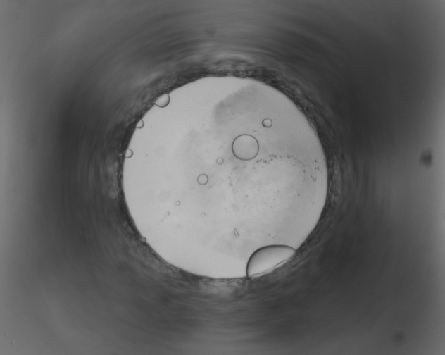 X0000115771013200912241745