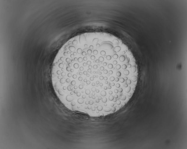 X0000115771014200912241745