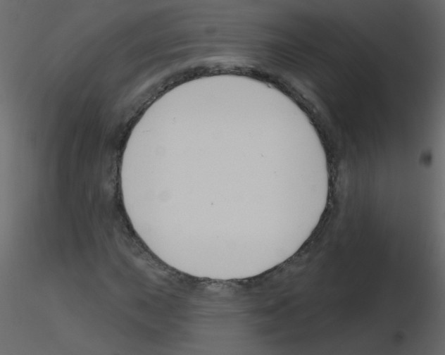 X0000115771015200912241745