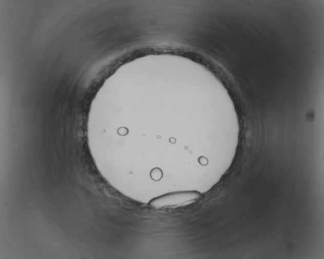 X0000115771016200912241745