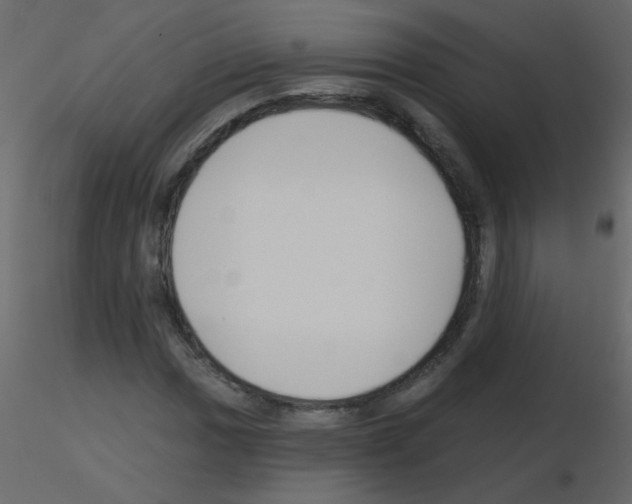 X0000115771017200912241745