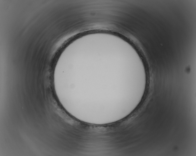 X0000115771019200912241745