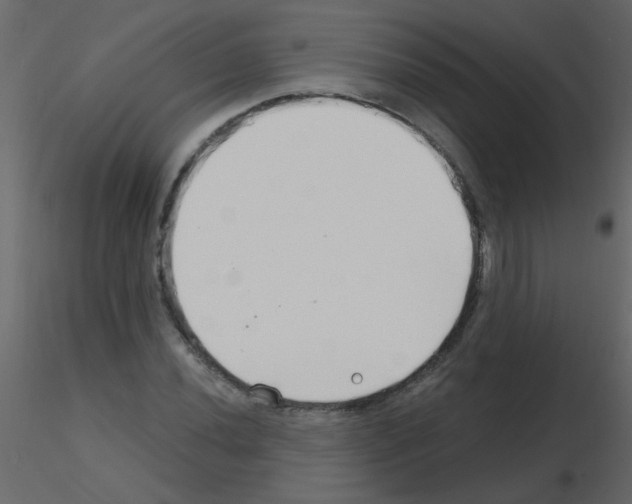 X0000115771020200912241745