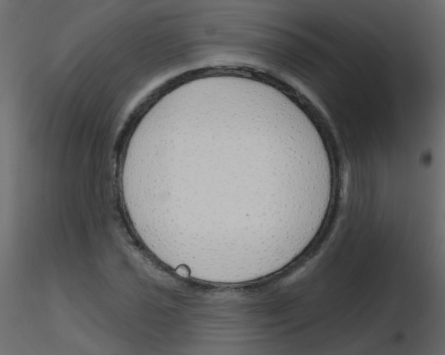 X0000115771021200912241745