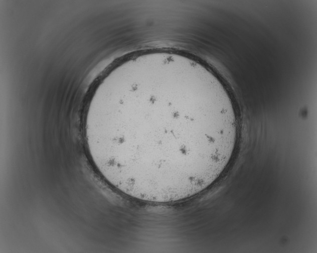 X0000115771023200912241745