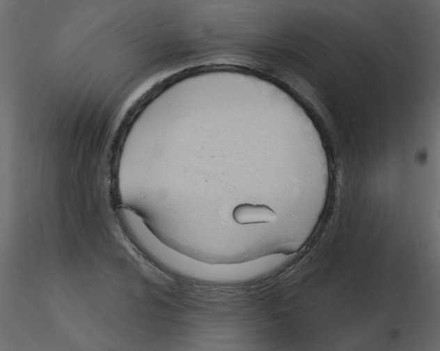 X0000115771024200912241745