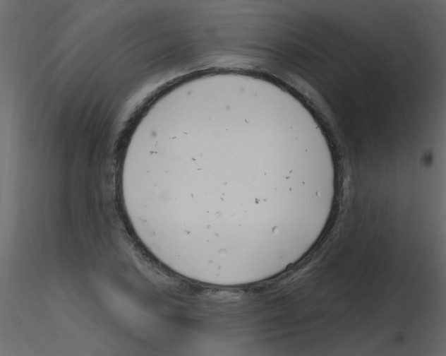 X0000115771027200912241745
