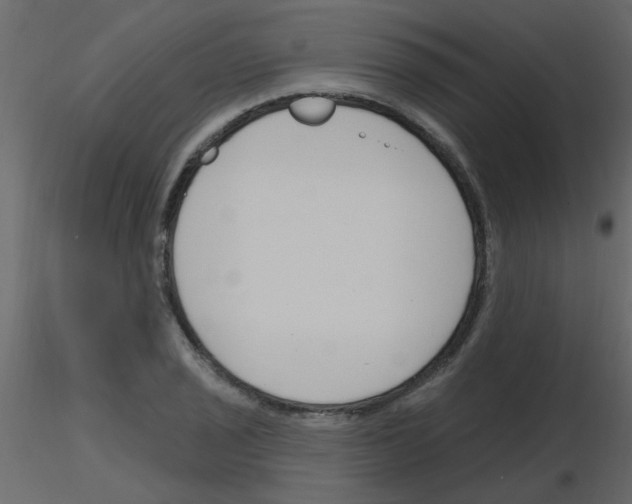 X0000115771029200912241745