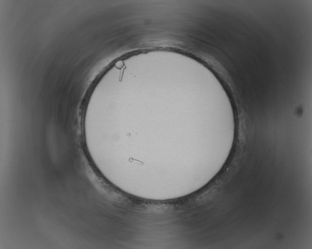 X0000115771031200912241745