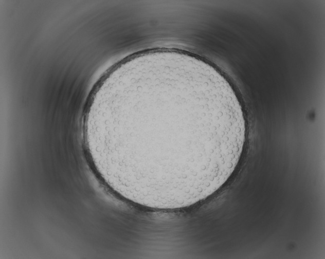 X0000115771032200912241745