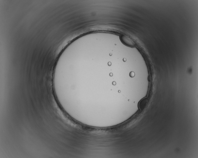 X0000115771033200912241745
