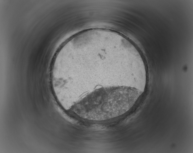 X0000115771037200912241745