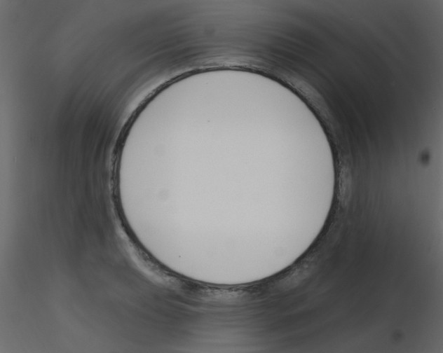 X0000115771039200912241745