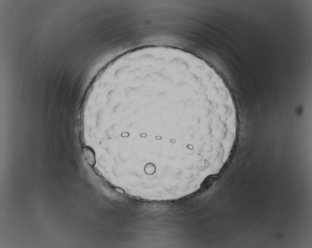 X0000115771040200912241745