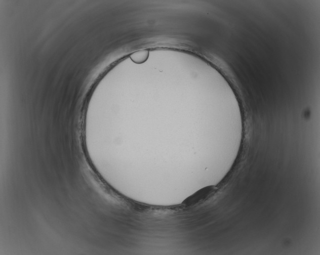X0000115771043200912241746