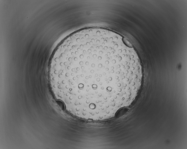 X0000115771044200912241746