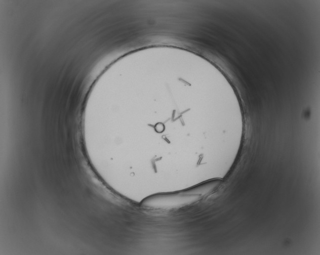 X0000115771048200912241746