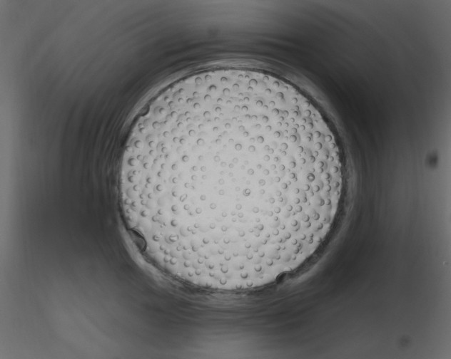 X0000115771049200912241746