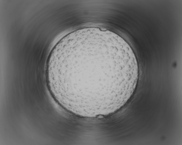 X0000115771050200912241746