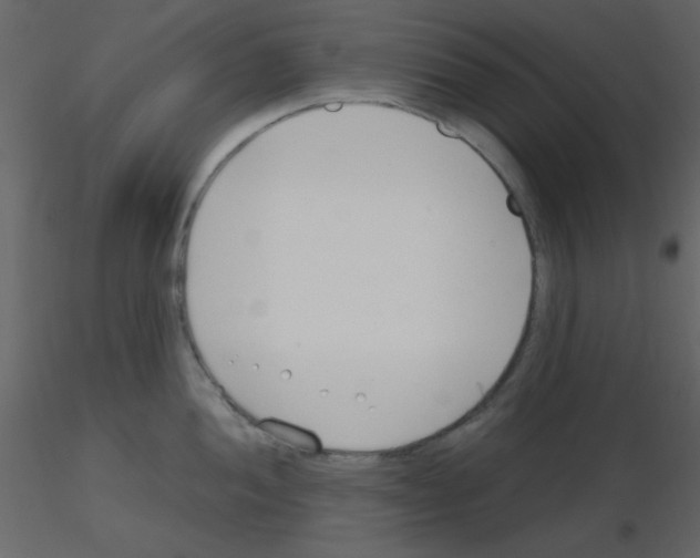 X0000115771052200912241746