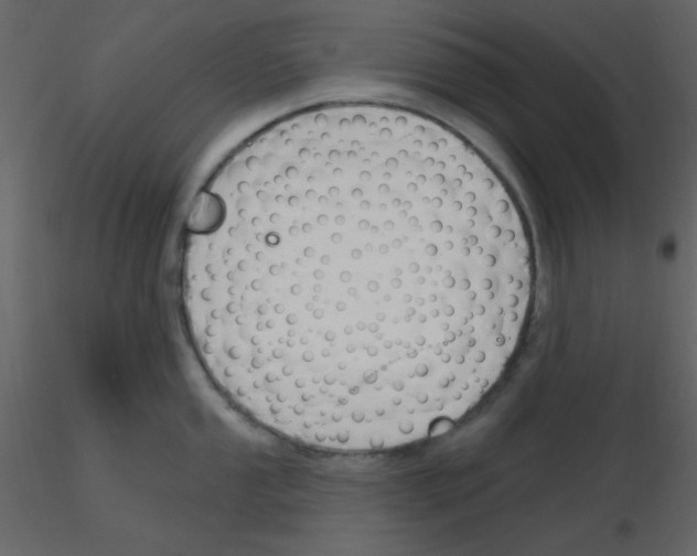 X0000115771053200912241746