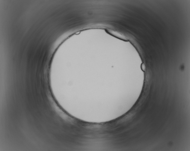 X0000115771054200912241746