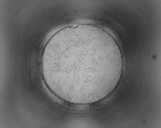 X0000115771055200912241746