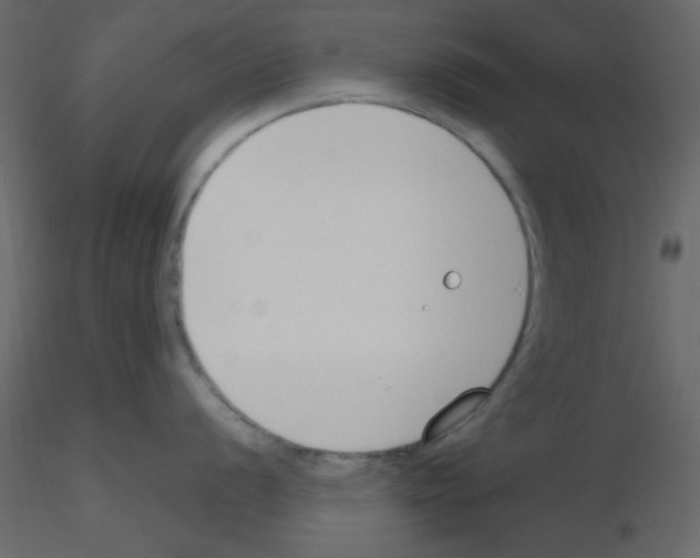 X0000115771056200912241746