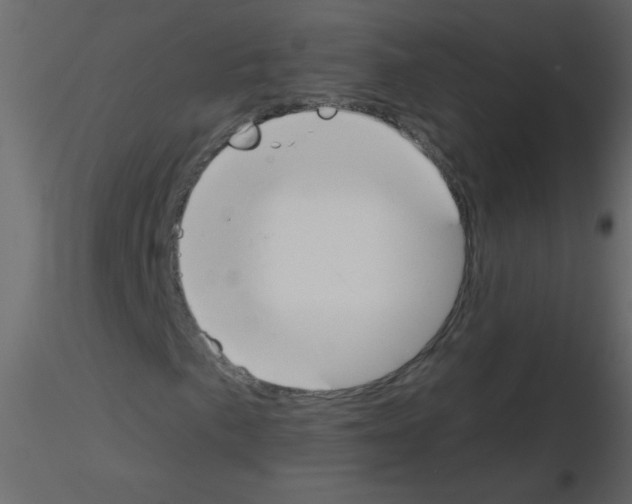 X0000115771057200912241745