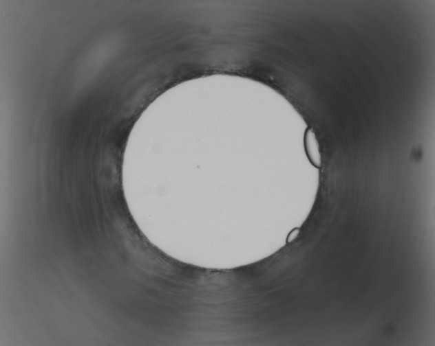 X0000115771058200912241745