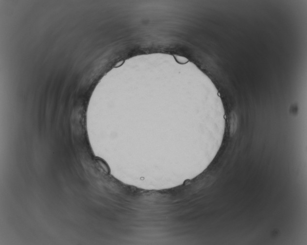 X0000115771059200912241745