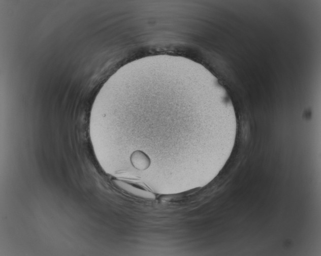 X0000115771060200912241745