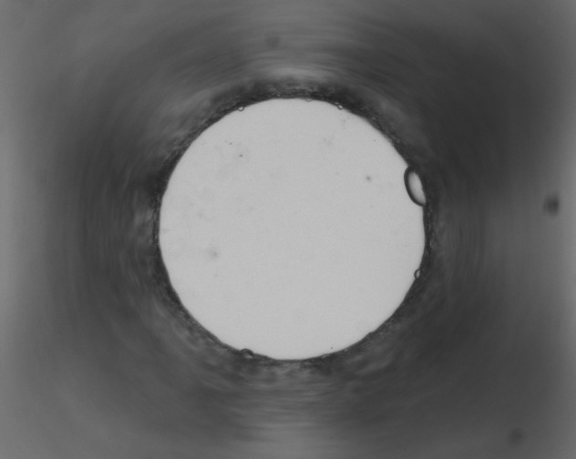 X0000115771061200912241745