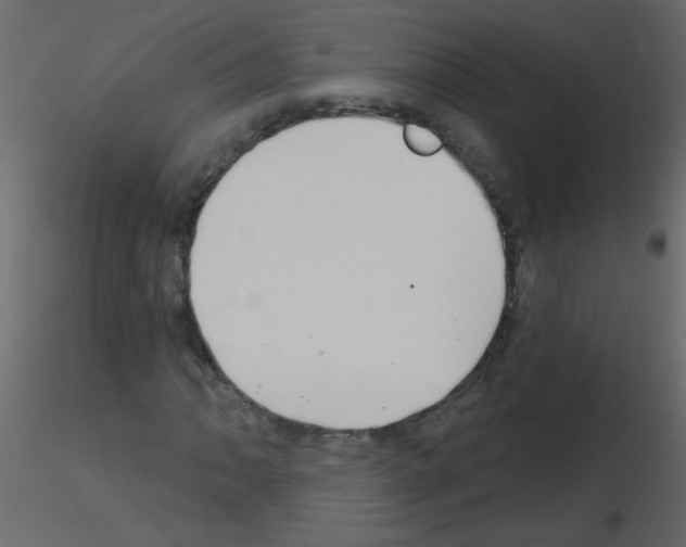X0000115771062200912241745