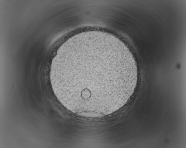 X0000115771064200912241745