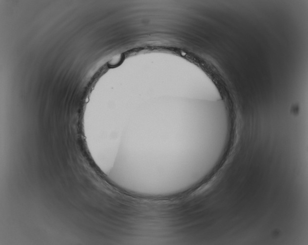 X0000115771065200912241745