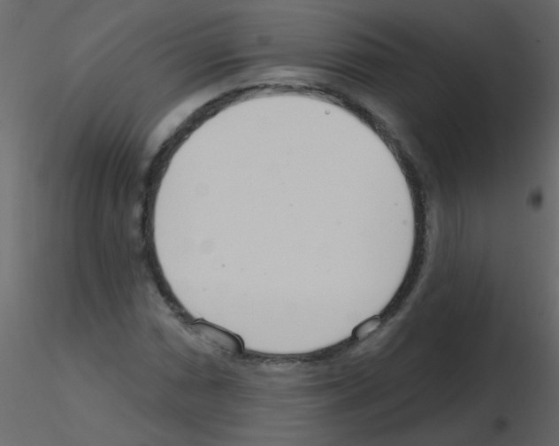 X0000115771066200912241745