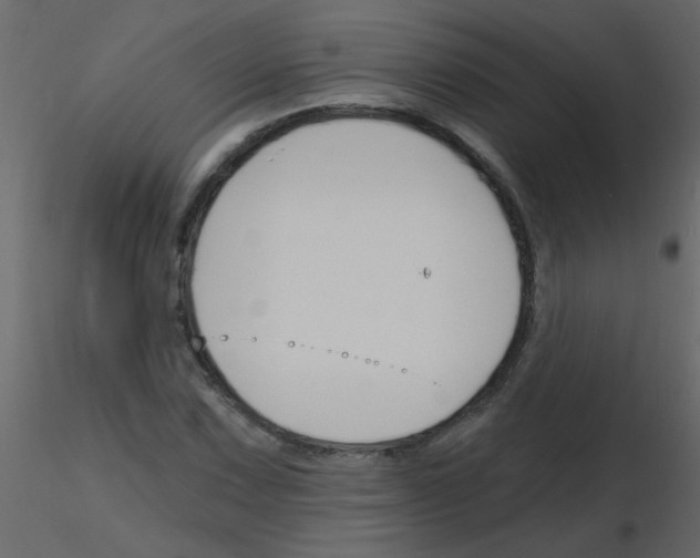 X0000115771067200912241745