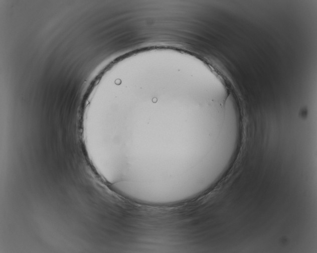 X0000115771068200912241745