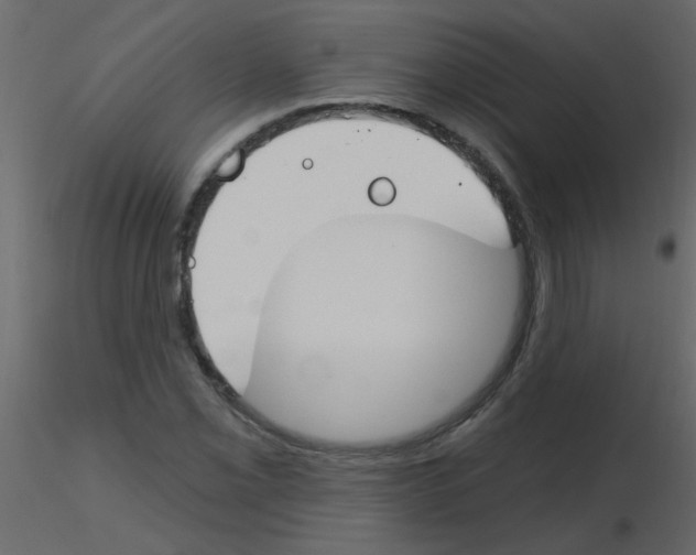 X0000115771069200912241745