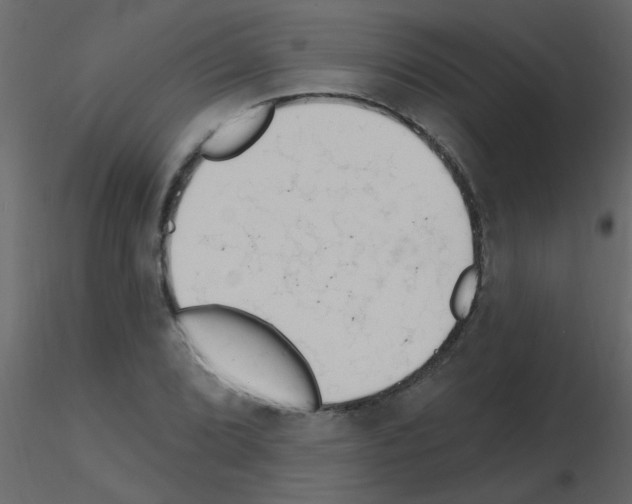 X0000115771072200912241745
