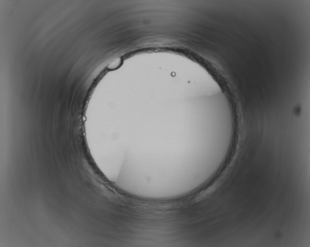 X0000115771073200912241745