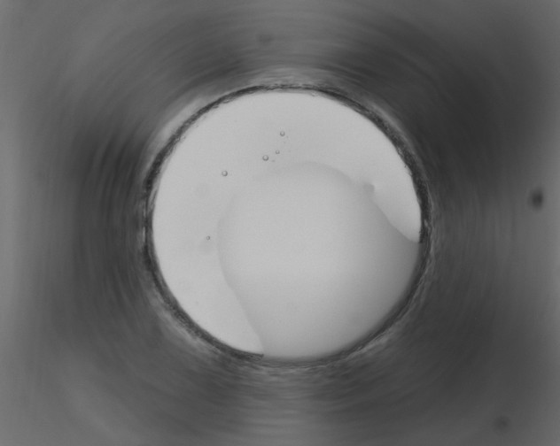 X0000115771075200912241745