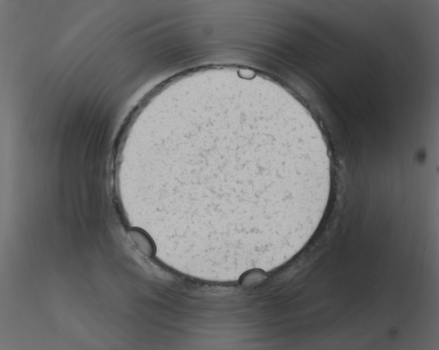 X0000115771076200912241745